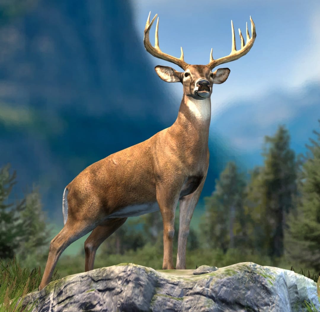antilope.jpg