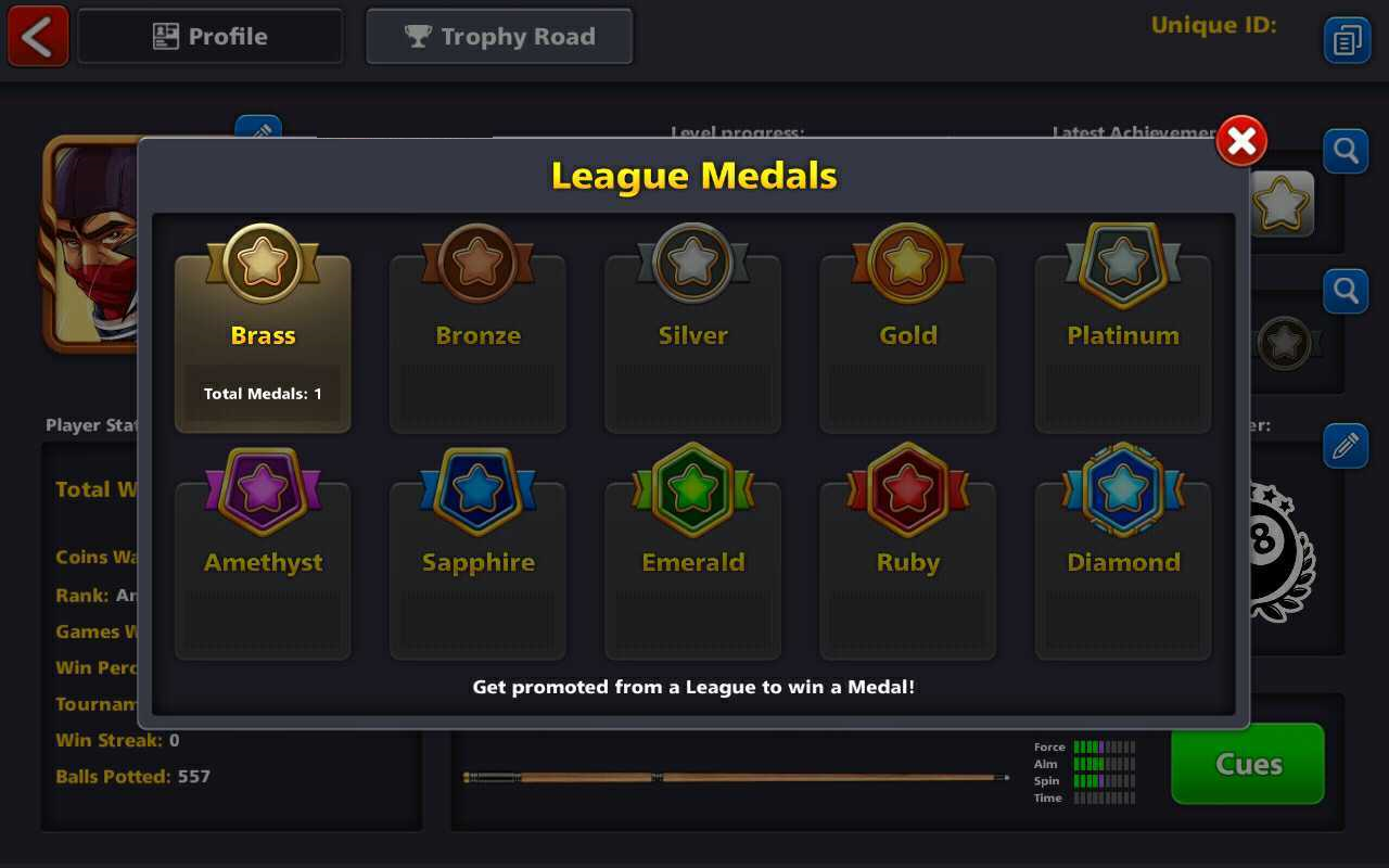 Mini Tennis Leaderboards, missions and achievements – Miniclip